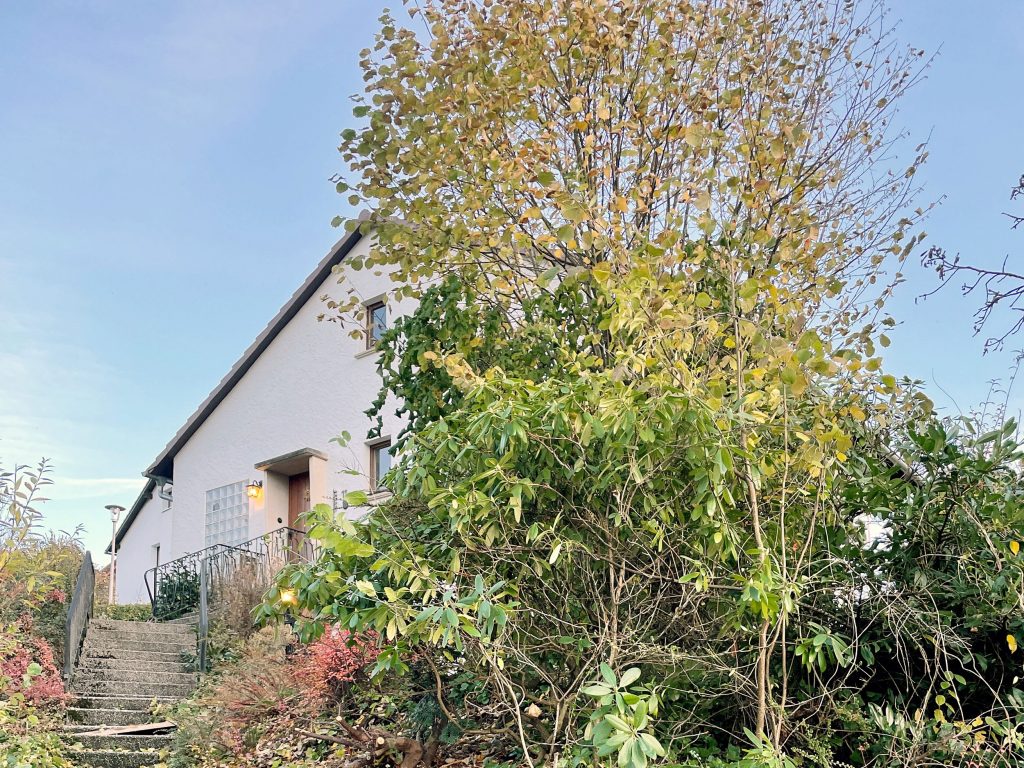 Ferienhaus Kellerwald Einfamilienhaus mit grüner Vegetation und Laubbäumen im Herbst Ferienhaus Edersee