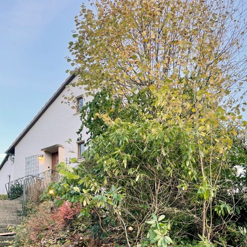 Ferienhaus Kellerwald Einfamilienhaus mit grüner Vegetation und Laubbäumen im Herbst Ferienhaus Edersee