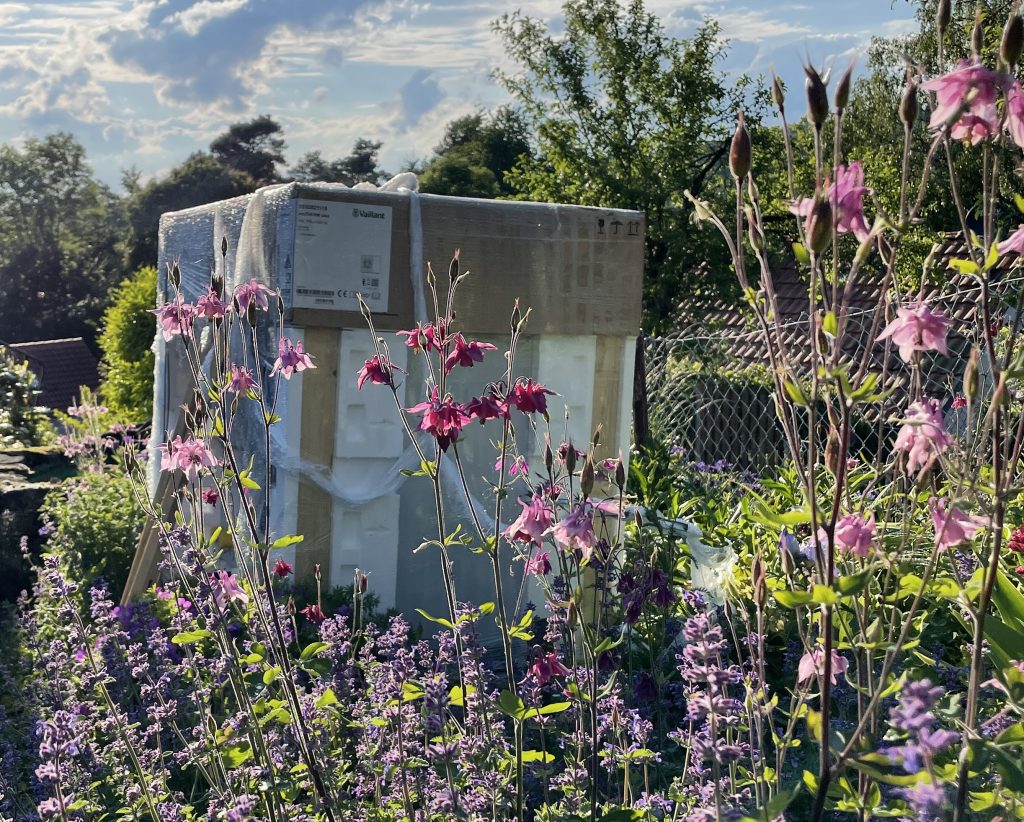 Ferienhaus Kellerwald Blühende Blumen umschließen einen Karton in einem sonnigen Garten Ferienhaus Edersee, was blüht denn da