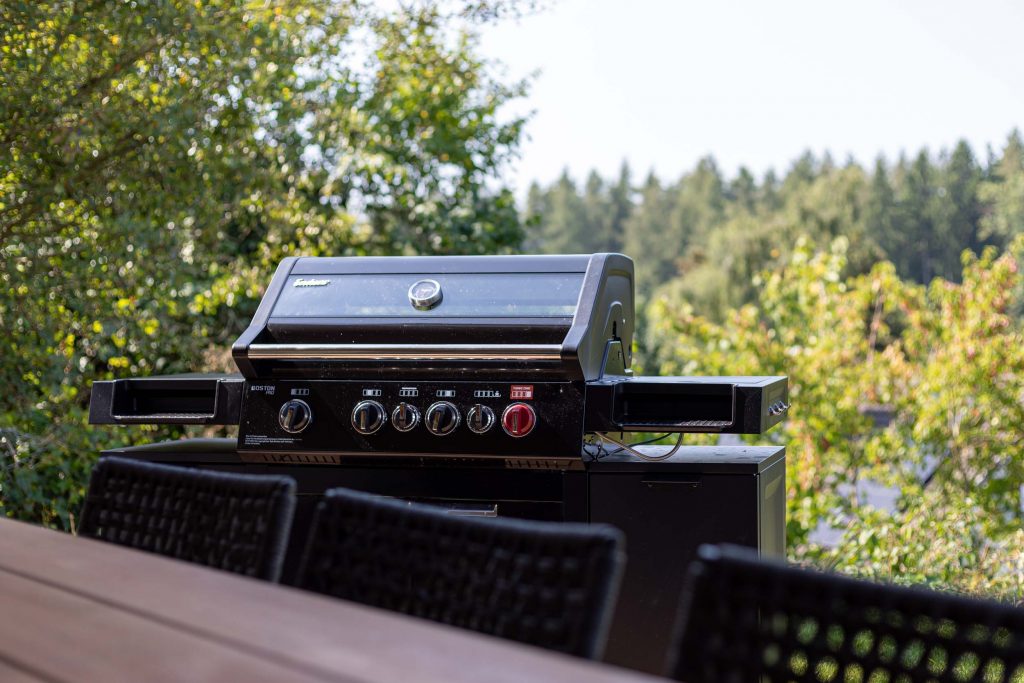 Vacation home Kellerwald Modern gas grill on a terrace in nature, vacation home Edersee, men's weekend