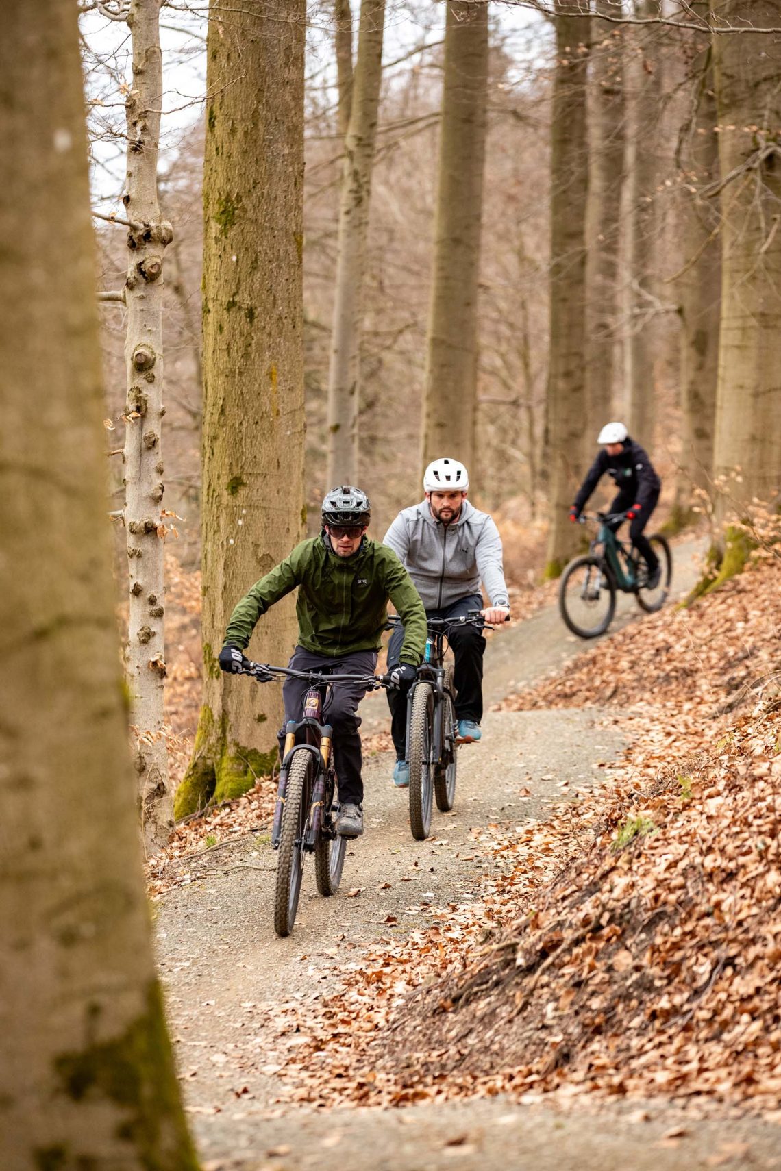 Drei Mountainbiker fahren durch einen herbstlichen Wald auf einem schmalen Weg , Ferienhaus Edersee, Ferienhaus Kellerwald