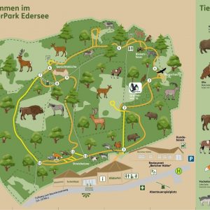 Karte des Wildpark Kinge mit Tiergehegen und Wanderwegen , Ferienhaus Edersee, Ferienhaus Kellerwald