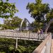 Treetop path with people on a sunny day, vacation home Edersee, vacation home Kellerwald
