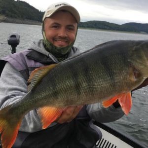 Man houdt grote rivierbaars vast op een boot, vakantiehuis Edersee, vakantiehuis Kellerwald. Samenwerking met ederseebarsch.de