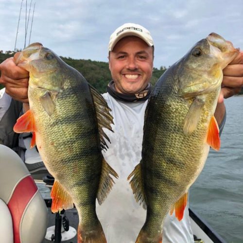 Man holding two large fish on a boat, vacation home Edersee, vacation home Kellerwald. Cooperation with ederseebarsch.de