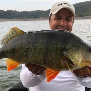 Visser houdt grote baars vast op een boot, vakantiehuis Edersee, vakantiehuis Kellerwald