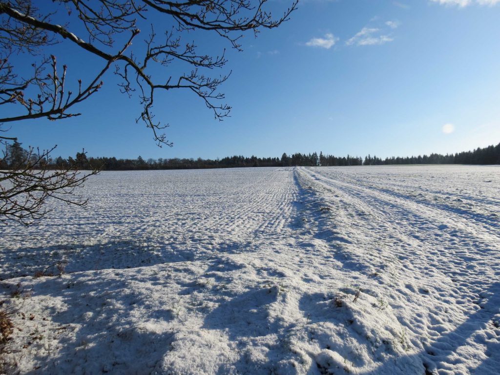 Besneeuwd veld onder een helderblauwe hemel, vakantiehuis Edersee, winterwandelen in het Nationaal Park Kellerwald-Edersee & de belevenisregio Willingen