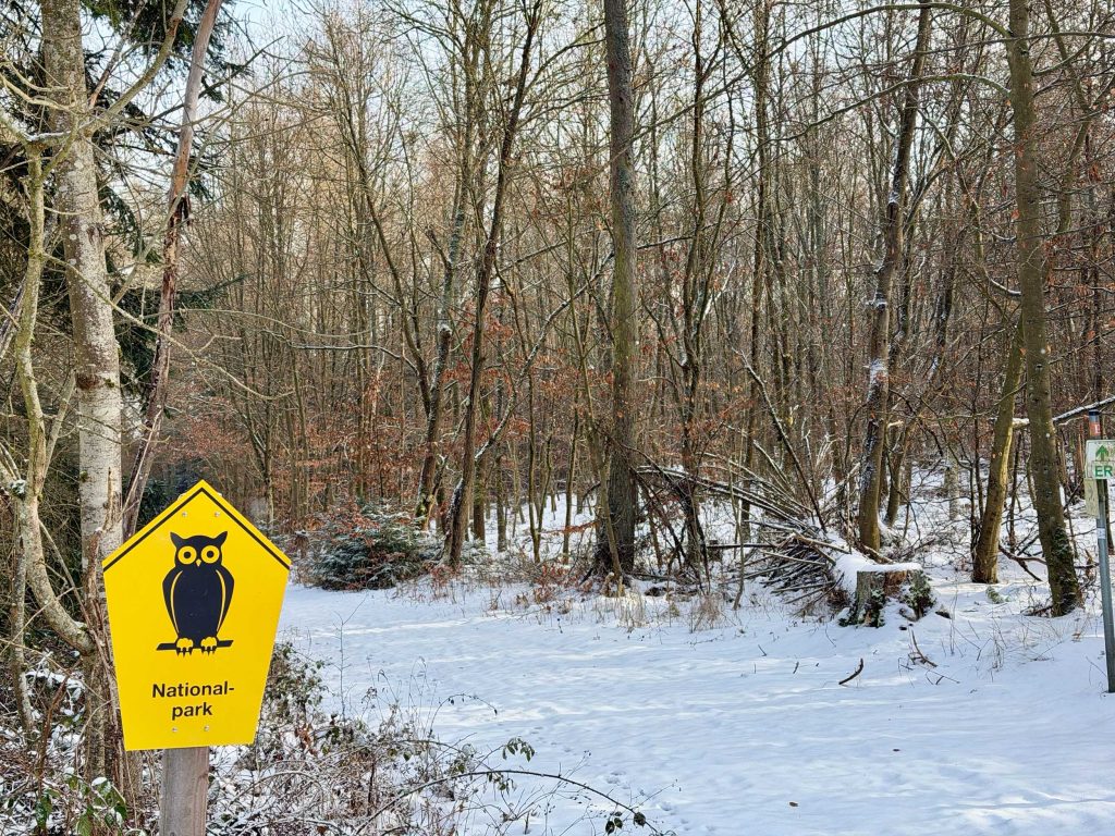 Winterwald im Nationalpark mit Eulenschild , Ferienhaus Edersee, Ferienhaus Kellerwald