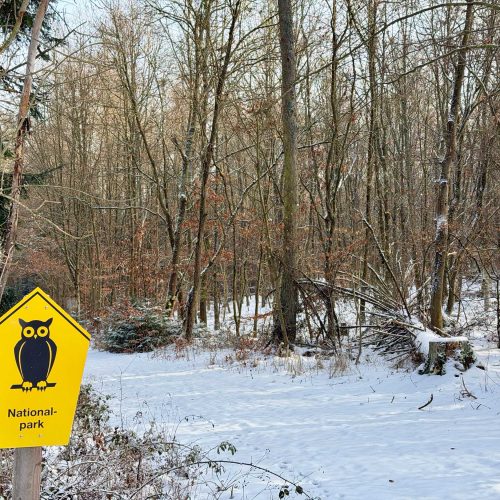 Winterbos in het Nationaal Park met uilenbord, vakantiehuis Edersee, vakantiehuis Kellerwald