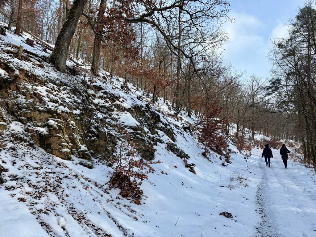 Winterlandschap met besneeuwde boshelling en twee wandelaars, vakantiehuis Edersee, vakantiehuis Kellerwald