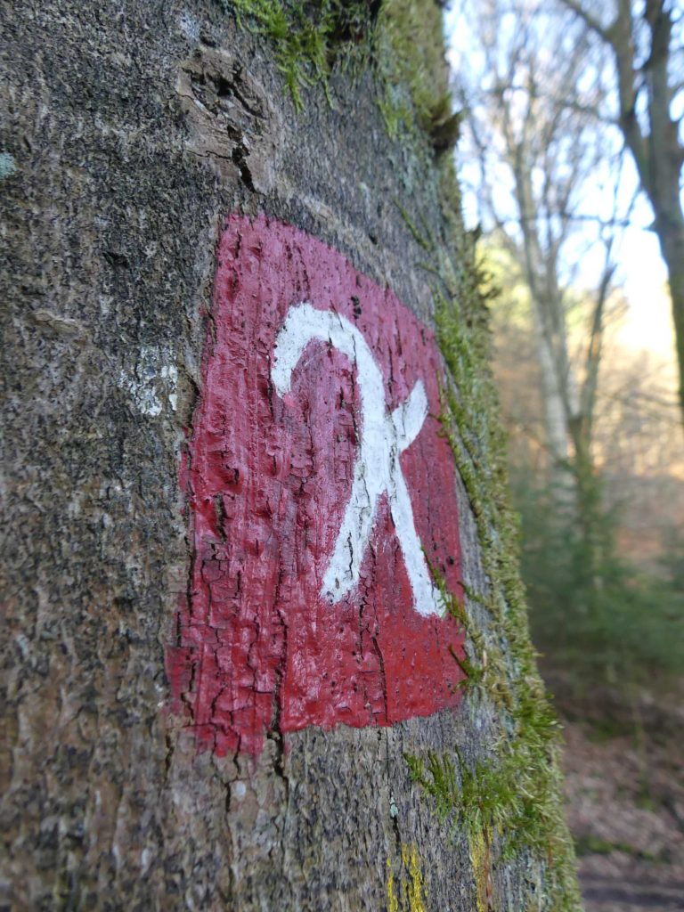 Baum mit rotem Wegmarkierungssymbol im Wald , Ferienhaus Edersee, Ferienhaus Kellerwald