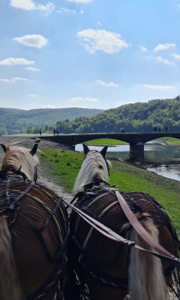 Pferdekutsche vor malerischer Brücke in ländlicher Landschaft , Ferienhaus Edersee, Ferienhaus Kellerwald,
