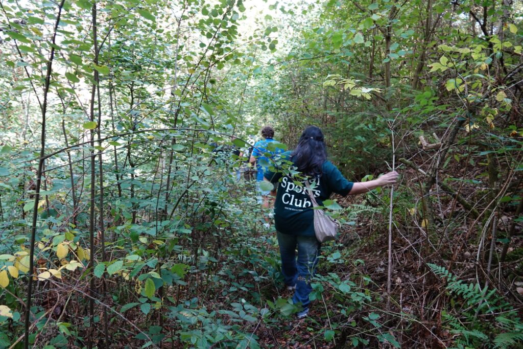 A group of people hiking through undergrowth in the Kellerwald-Edersee National Park.